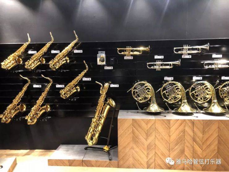 腾博官网乐器 试奏乐器